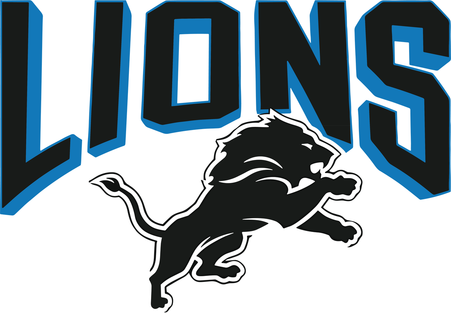 Detroit Lions DTF Transfer