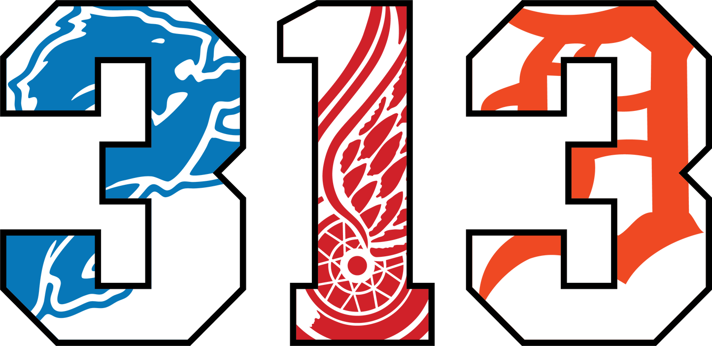 Detroit Colorful 313 Lions, Red Wings, Tigers DTF Transfer