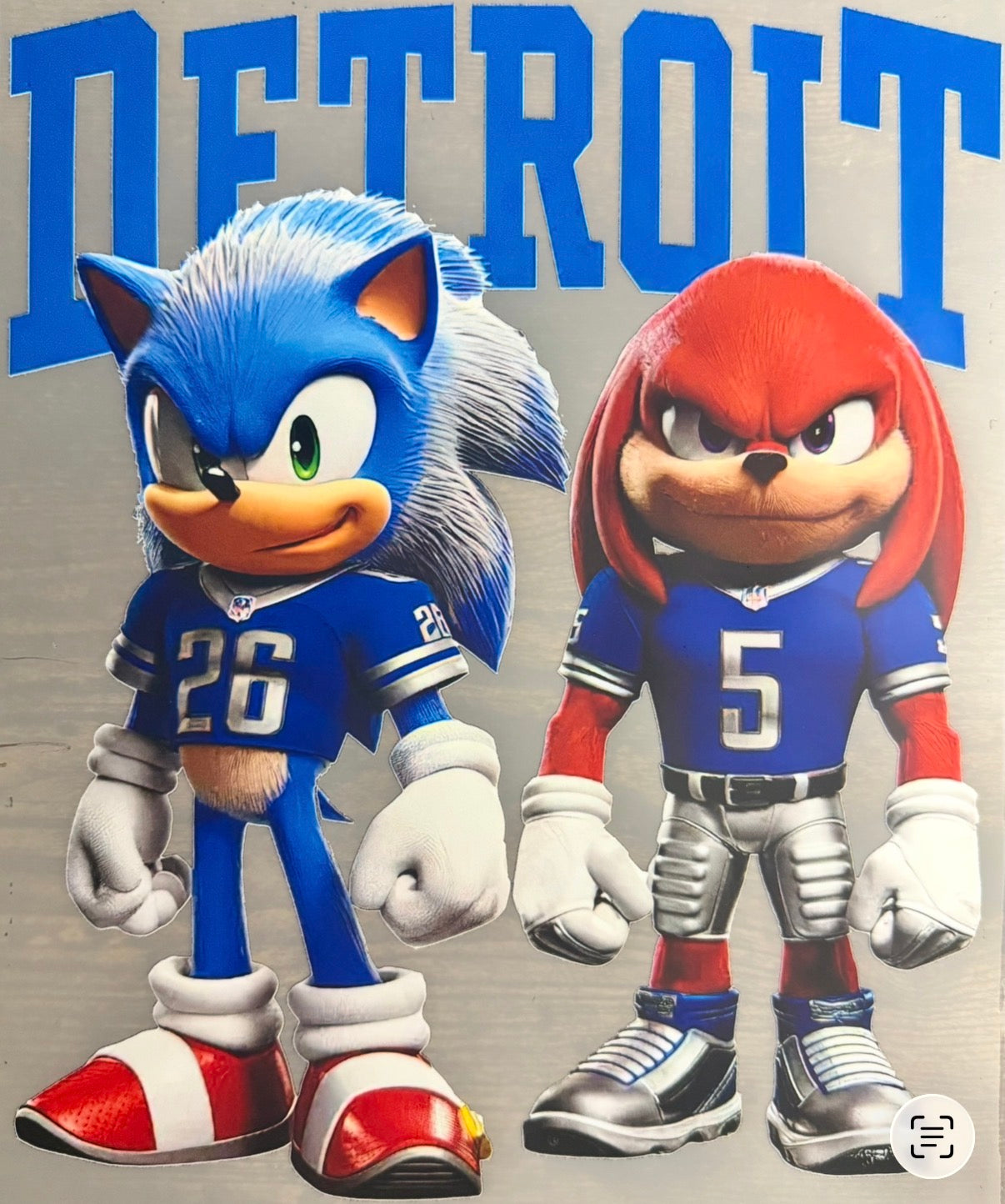 Detroit Lions DTF Transfer