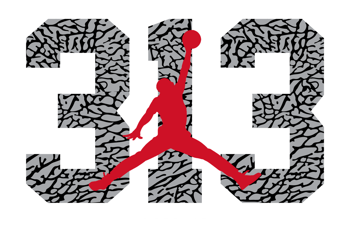 Detroit Air Jordan 313 DTF Transfer T-Shirt