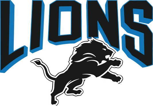 Detroit Lions DTF Transfer