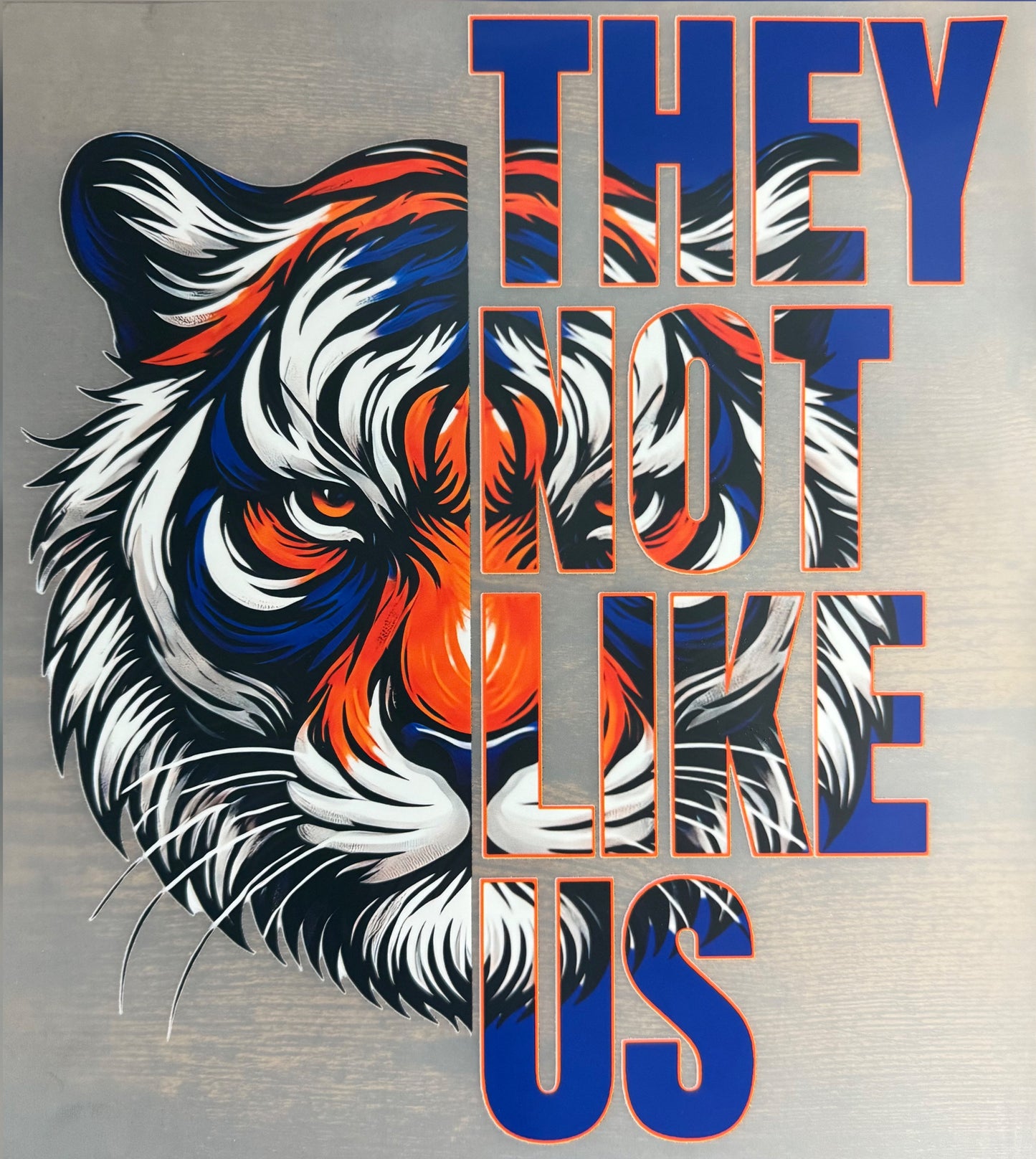 Detroit Tigers "They Not Like Us" DTF Transfer