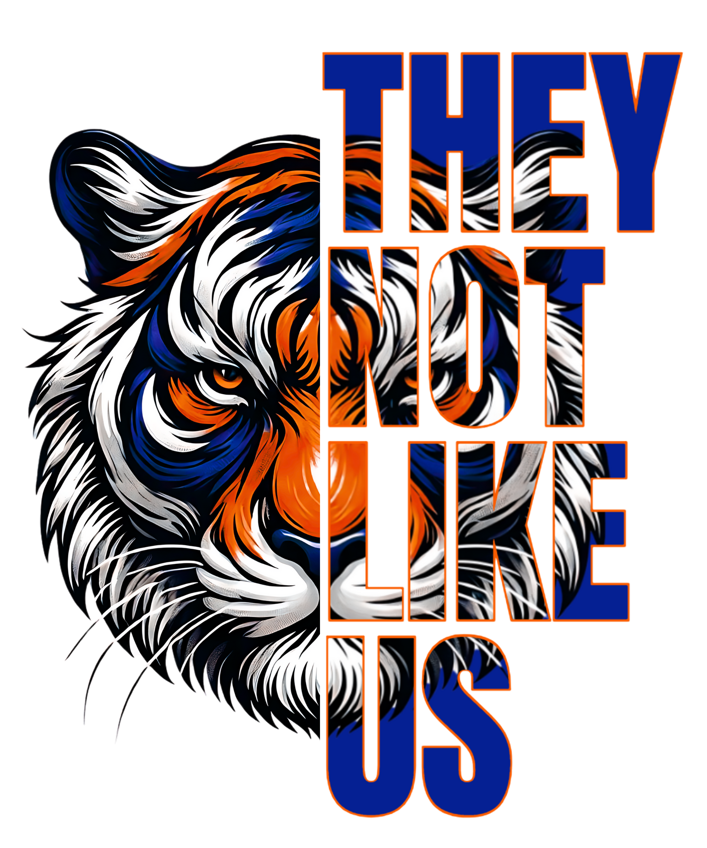 Detroit Tigers "They Not Like Us" DTF Transfer